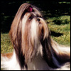 Jerby Des monts kuen lun