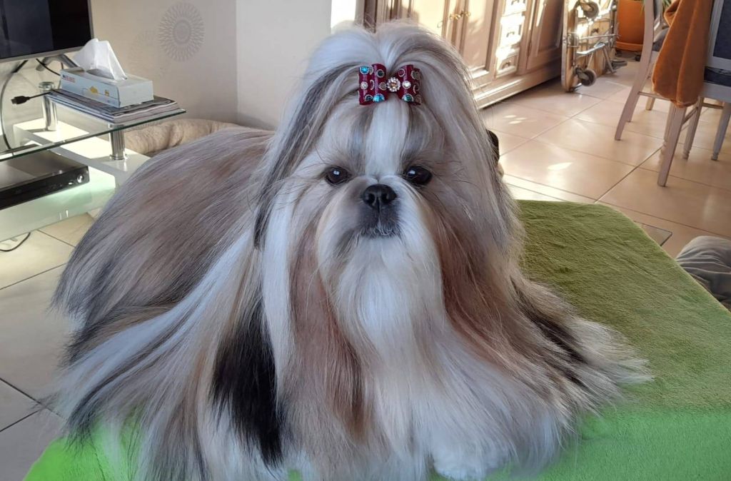 Happy paris queen analand